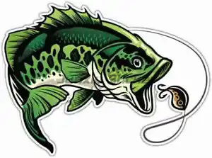 Perch Fishing Stickers Window  - đánh giá và giá Laptop Accessories Box
